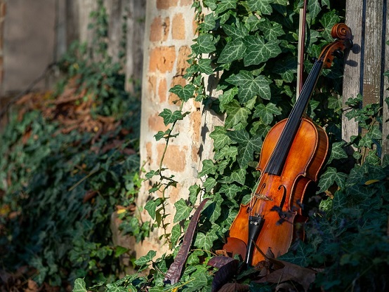 kapcsolat-wedding-charm